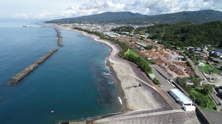 海岸沿い