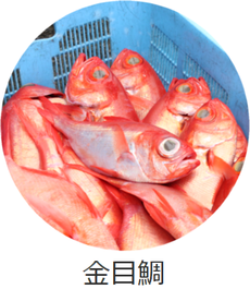 金目鯛
