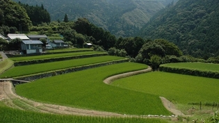 田園風景