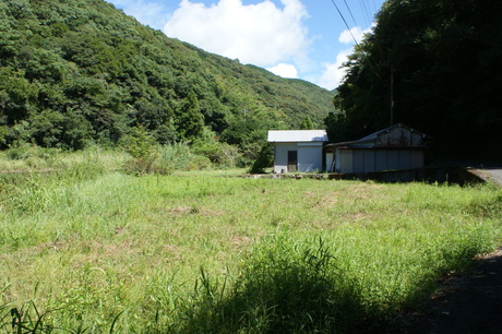 田畑1